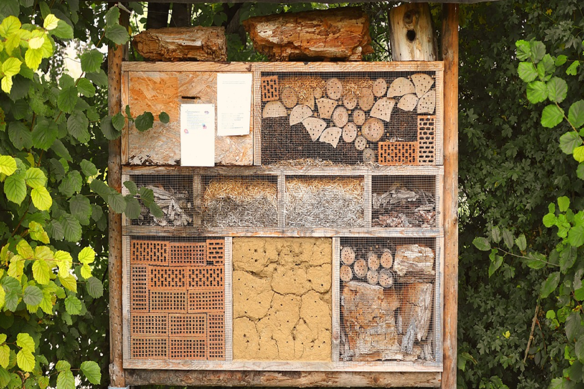 seminaire-nature-loire-atlantique