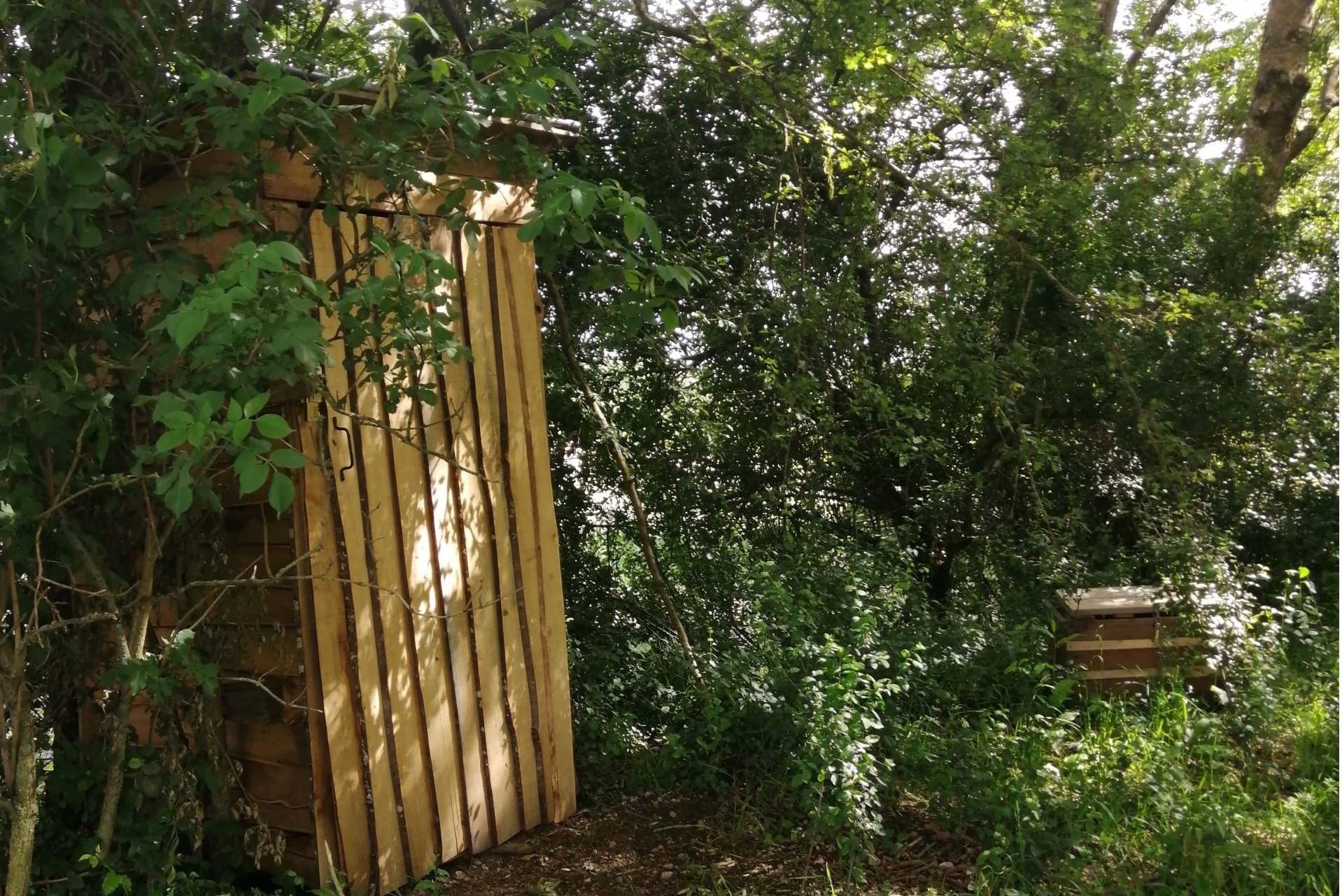 escape-game-nature