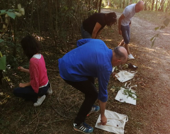team-buiding-land-art